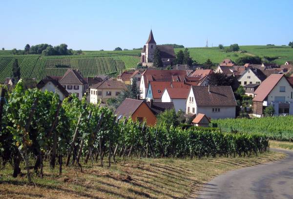 Alsace - wine country