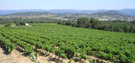 Domaine de Mayol